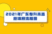 2021年广东专升本志愿填报流程图 清楚知道如何填报志愿
