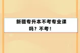 新疆专升本不考专业课吗？不考！