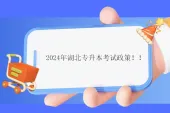 2024年湖北专升本考试政策