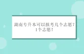 湖南专升本可以报考几个志愿？1个！