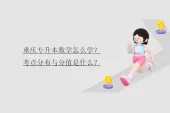 重庆专升本数学怎么学？考点分布与分值是什么？