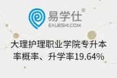 大理护理职业学院专升本率概率、升学率19.64%