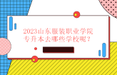 2023山东服装职业学院专升本去哪些学校？