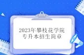 2023年攀枝花学院专升本招生简章 和多所学校联合招生！
