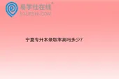 宁夏专升本录取率高吗多少？