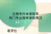 云南专升本录取率-热门专业报考录取情况