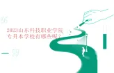 2023山东科技职业学院专升本学校有哪些呢？