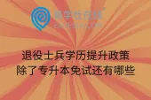 退役士兵学历提升政策除了专升本免试还有哪些