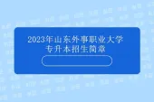 2023年山东外事职业大学专升本招生简章 含报考对象考试科目！