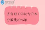 齐鲁理工学院专升本分数线2025年