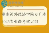 湖南涉外经济学院专升本2025专业课考试大纲