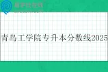 青岛工学院专升本分数线2025