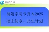 铜陵学院专升本2025招生简章、招生计划