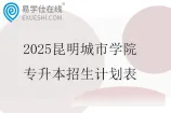 2025昆明城市学院专升本招生计划表