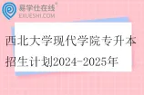 西北大学现代学院专升本招生计划2024-2025年