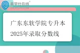 广东东软学院专升本2025年录取分数线