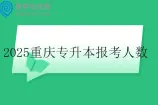 2025重庆专升本报考人数43672人