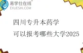 四川专升本药学可以报考哪些大学2025