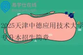 2025天津中德应用技术大学专升本招生简章