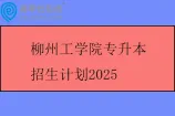 柳州工学院专升本招生计划2025