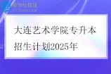 大连艺术学院专升本招生计划2025年