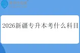 2026新疆专升本考什么科目？