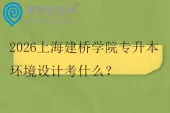 2026上海建桥学院专升本环境设计考什么？