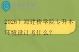 2026上海建桥学院专升本环境设计考什么？