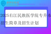 2025右江民族医学院专升本招生简章及招生计划