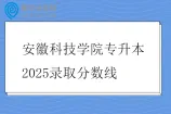 安徽科技学院专升本2025录取分数线