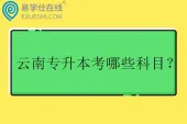 云南专升本考哪些科目？
