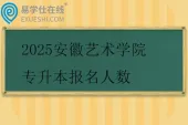 2025安徽艺术学院专升本报名人数公布~