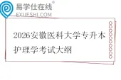 2026安徽医科大学专升本护理学考试大纲