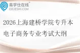 2026上海建桥学院专升本电子商务专业考试大纲