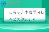 云南专升本数学分析考试大纲2025年