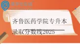 齐鲁医药学院专升本录取分数线2025