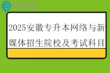 2025安徽专升本网络与新媒体招生院校及考试科目