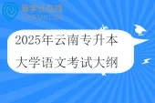 2025年云南专升本大学语文考试大纲