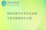 2025河南专升本音乐表演专业学校和招生计划