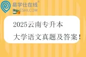 2025云南专升本大学语文真题及答案