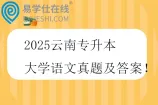 2025云南专升本大学语文真题及答案
