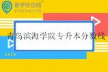 青岛滨海学院专升本分数线2025