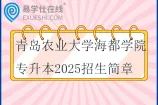 青岛农业大学海都学院专升本2025招生简章、招生计划