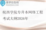 皖西学院专升本网络工程考试大纲2026年