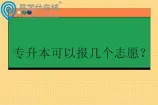 专升本可以报几个志愿？