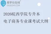 2026皖西学院专升本电子商务专业课考试大纲