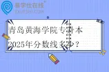 青岛黄海学院专升本2025年分数线多少？