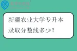 新疆农业大学专升本录取分数线多少？