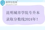 昆明城市学院专升本录取分数线2024年