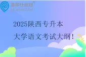 2025陕西专升本大学语文考试大纲